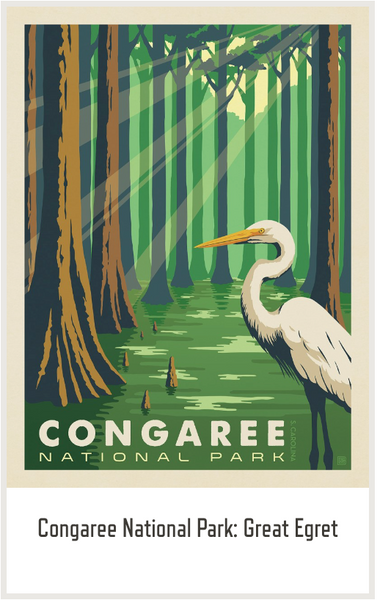 Congaree Postcard