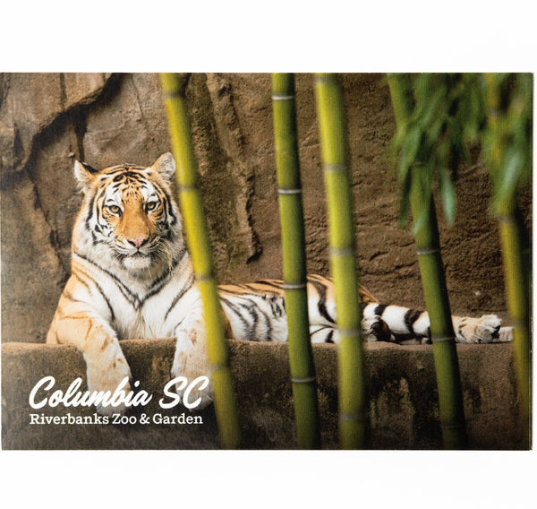 Columbia SC Assorted Postcards