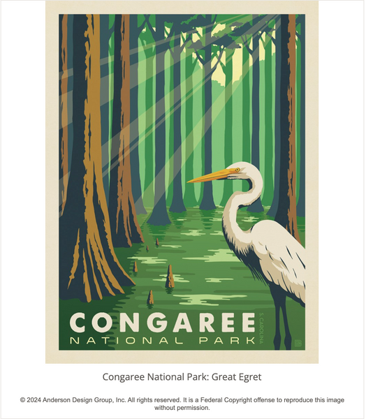 Congaree Postcard